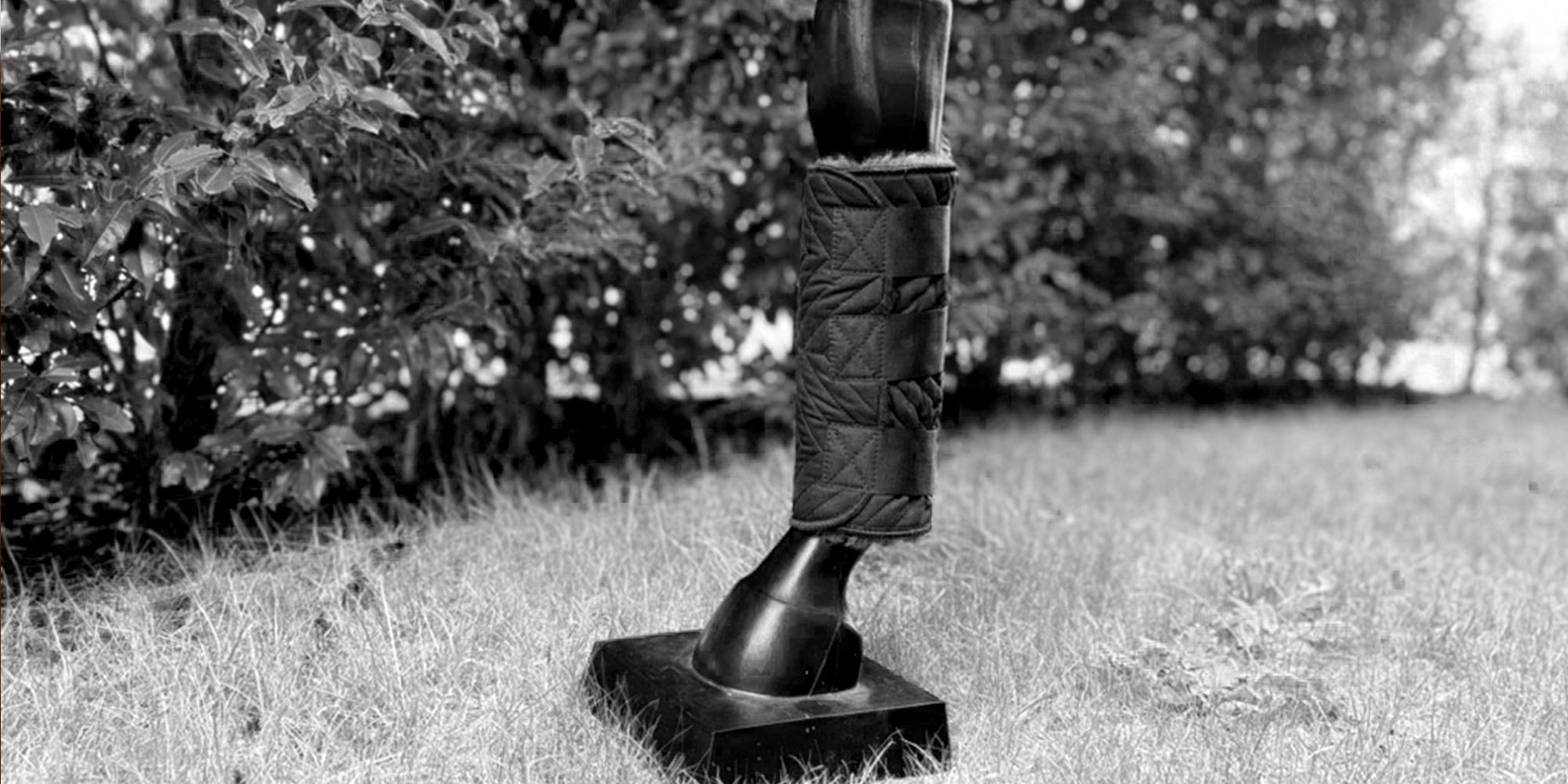 Arthrose beim Pferd: Ursachen, Symptome und Behandlungsmöglichkeiten - L'Evoine