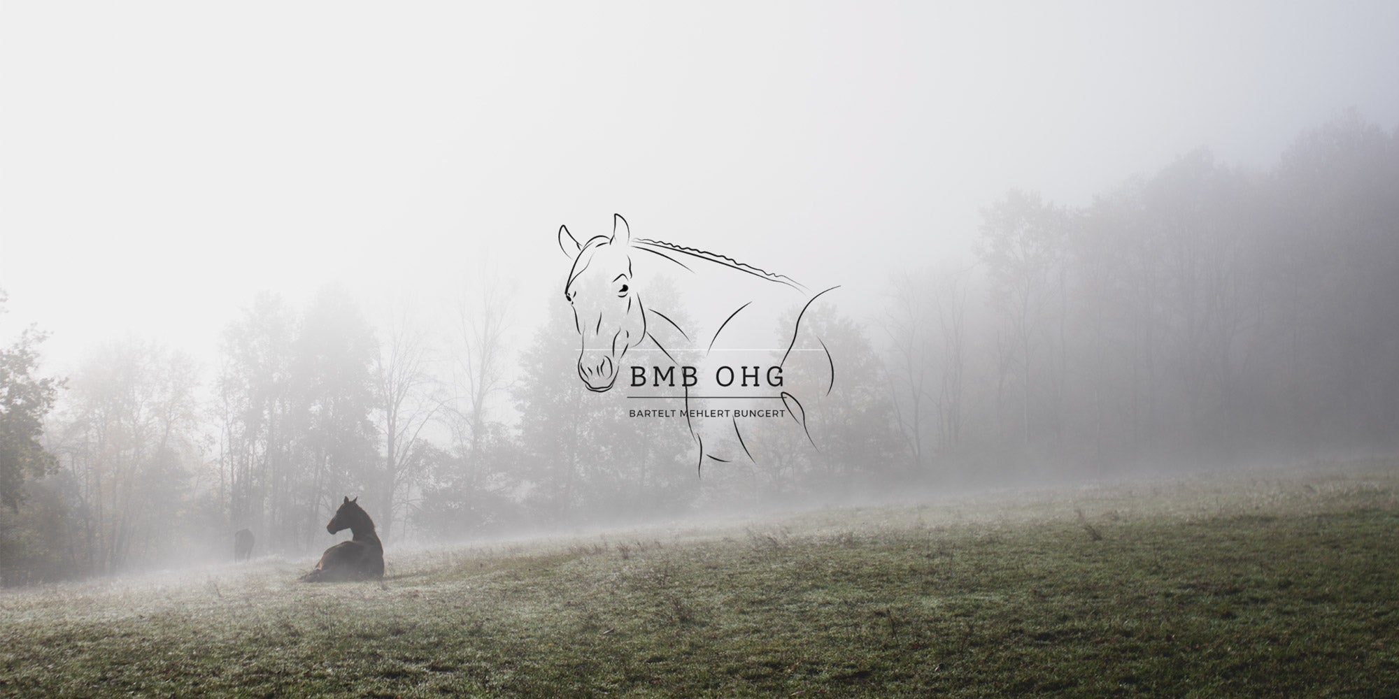 Versicherungen für Pferde - warum Sie unverzichtbar sind! - L'Evoine