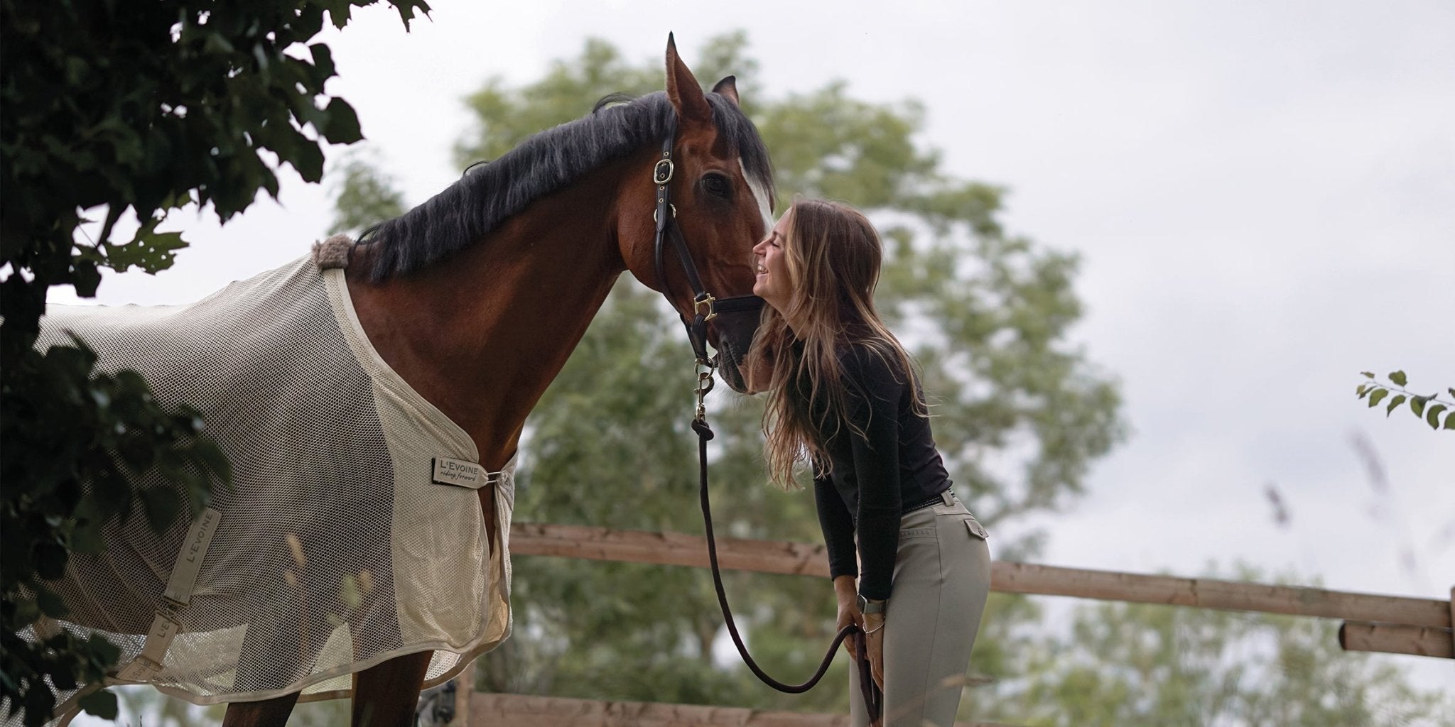 Welche Farbe sollte eine Fliegendecke für das Pferd haben? - L'Evoine