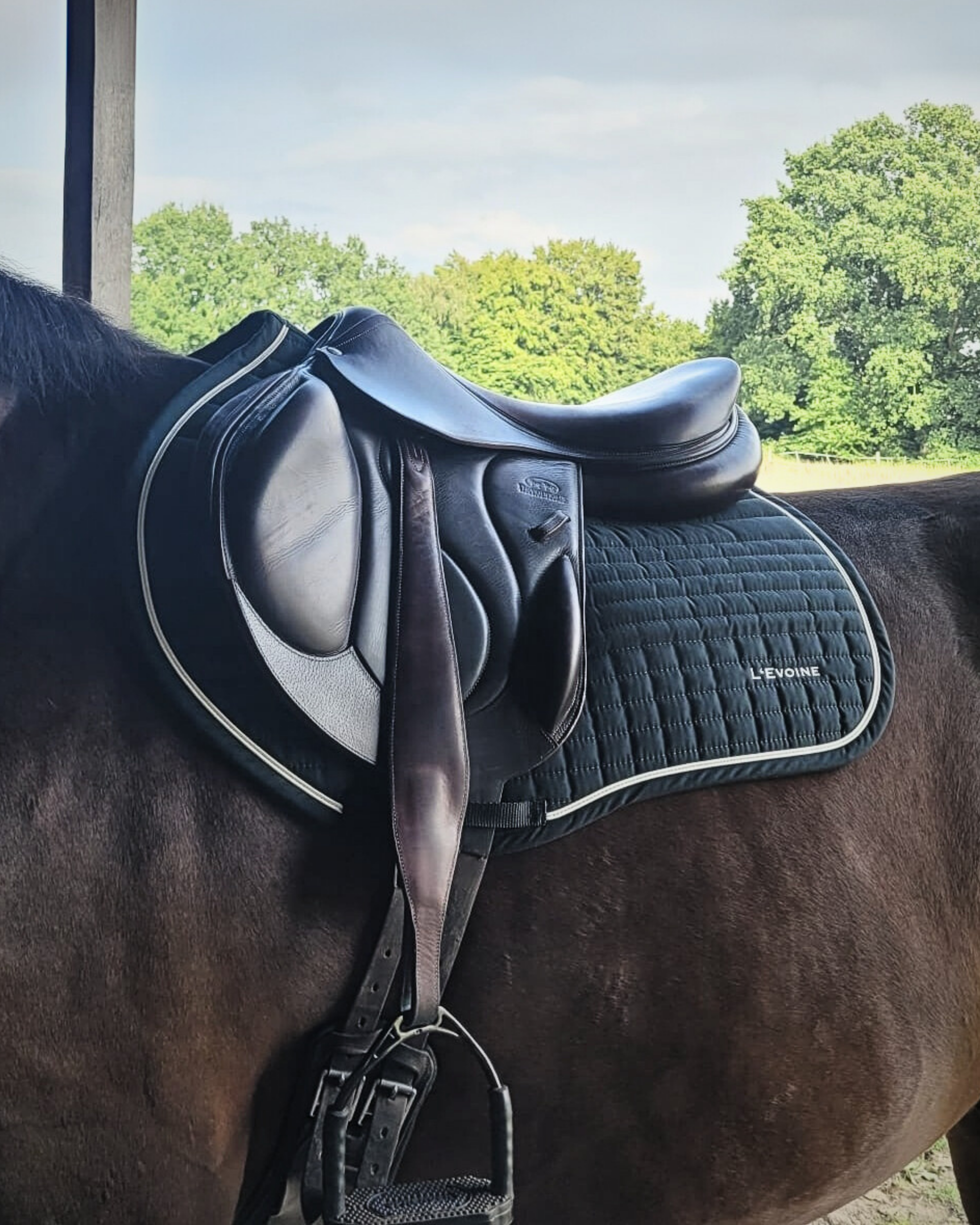 schwarze Springschabracke mit polsterung