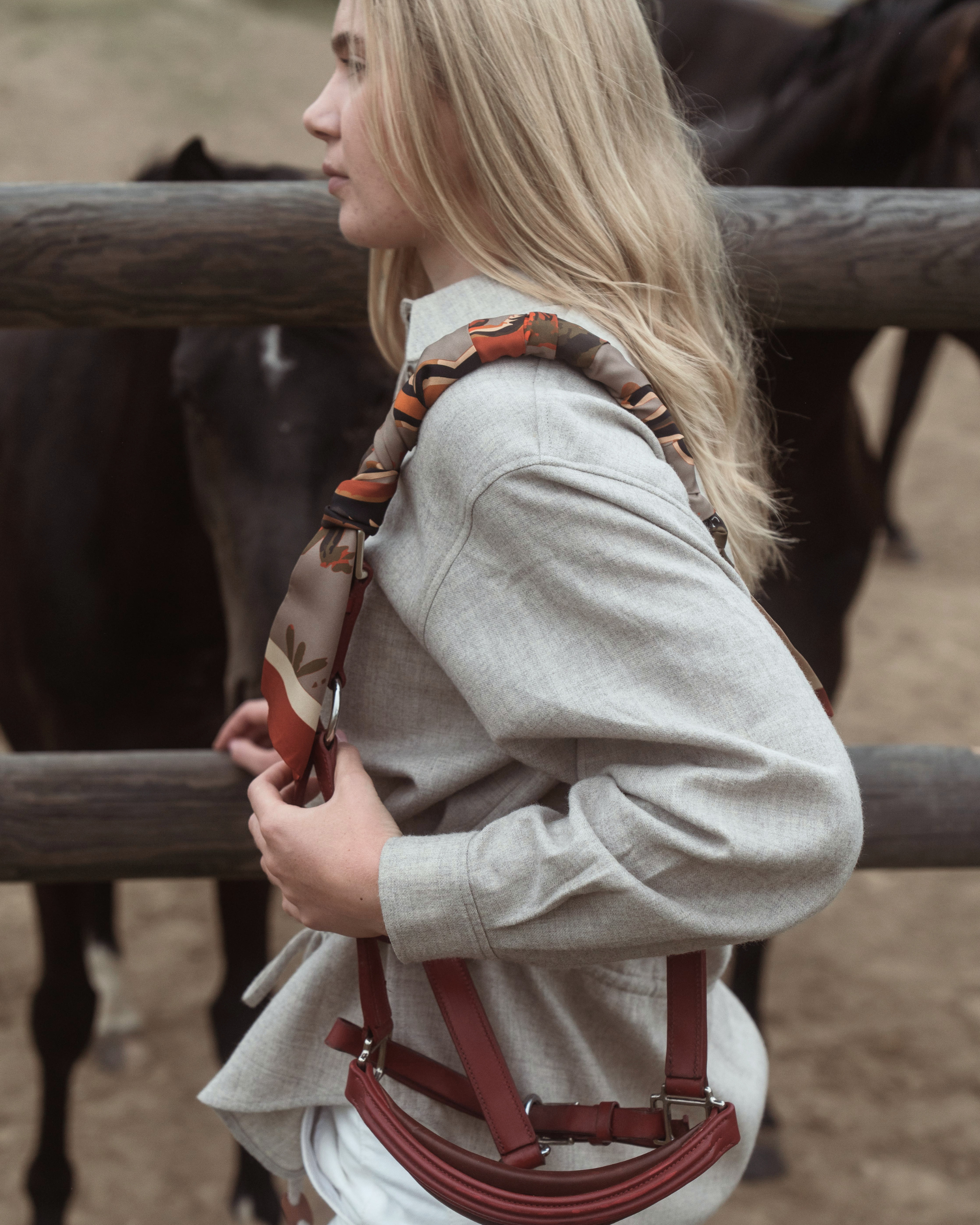 Maxi Twilly Horses At Pasture