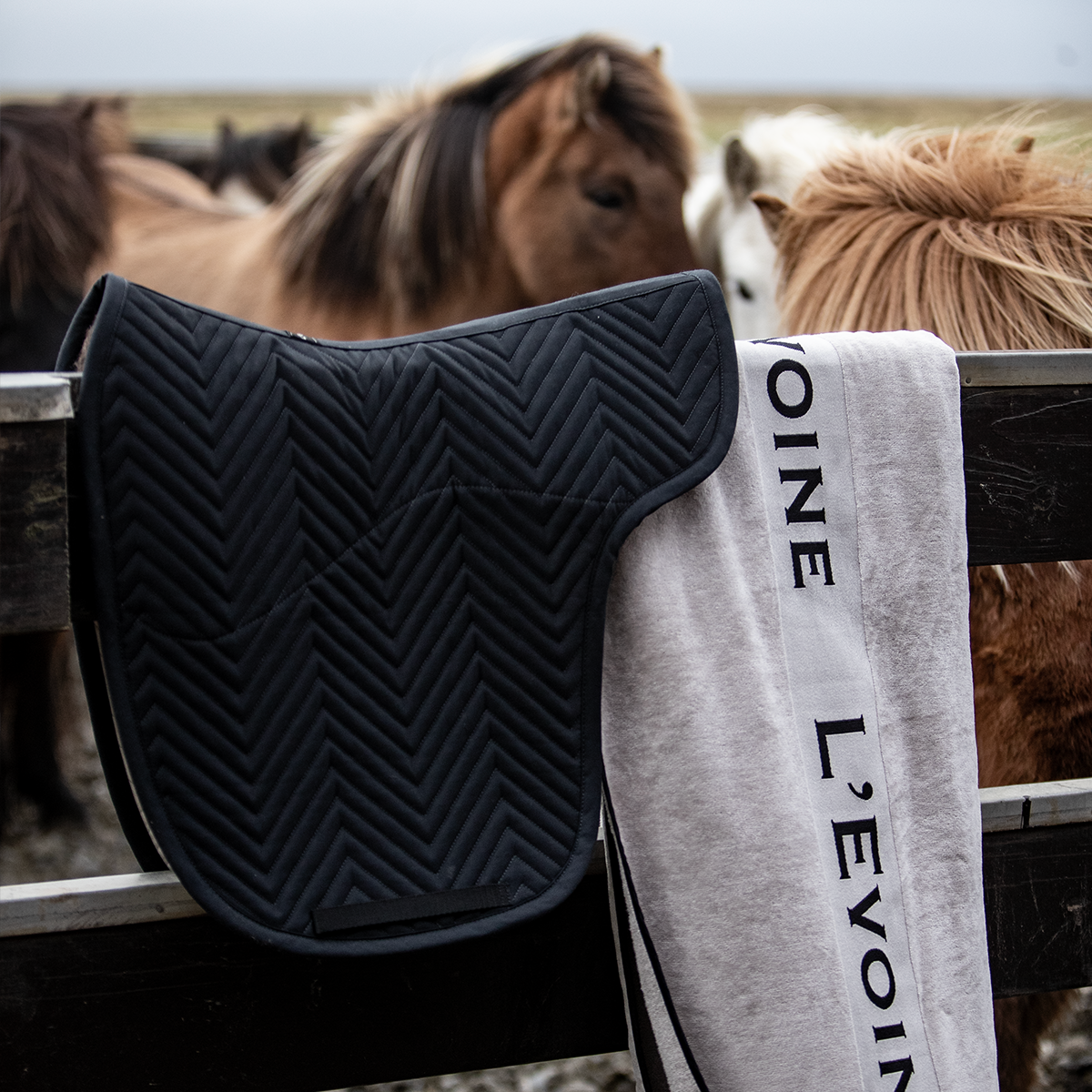 Satteldecke schwarz
