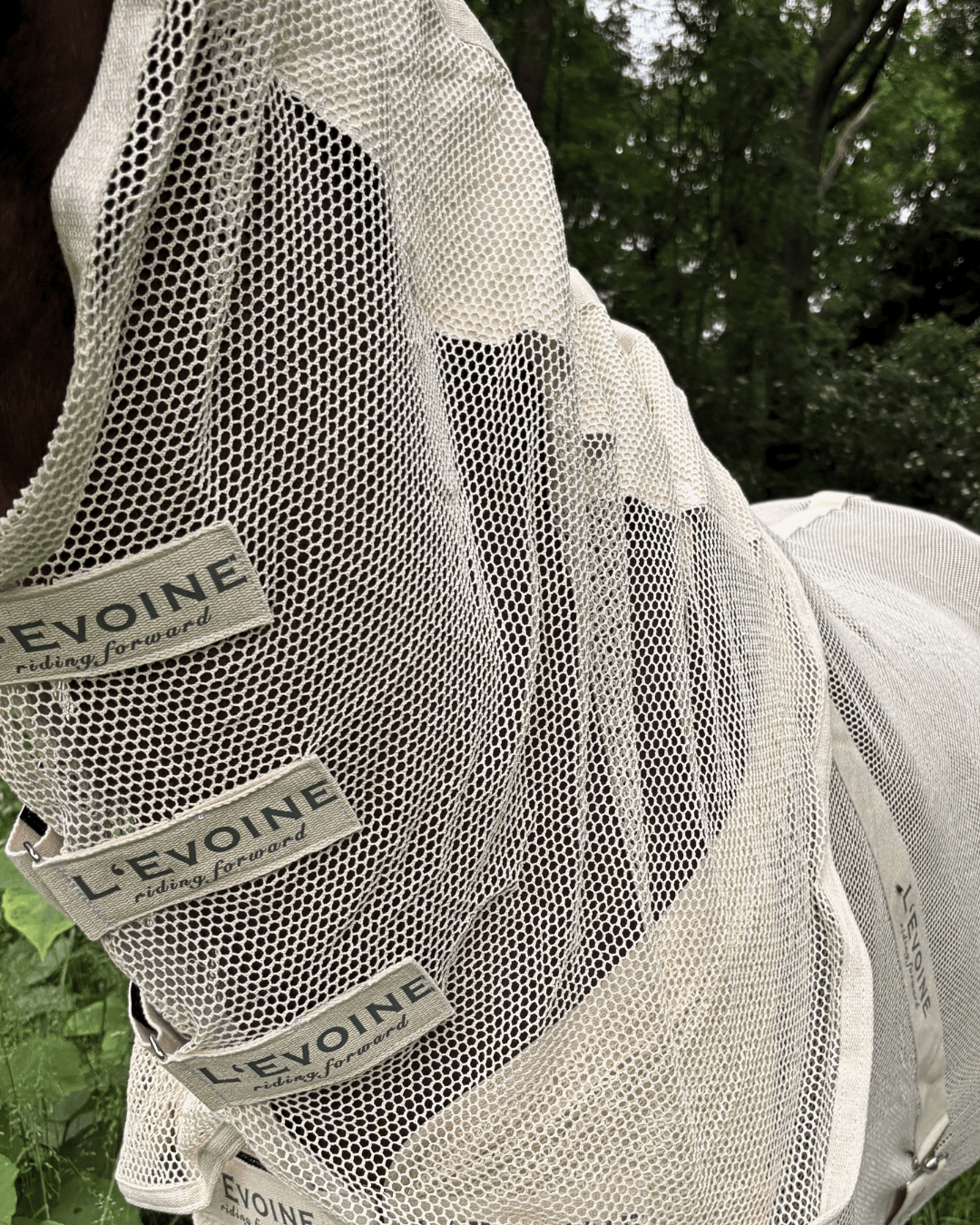 Halsteil Fliegendecke