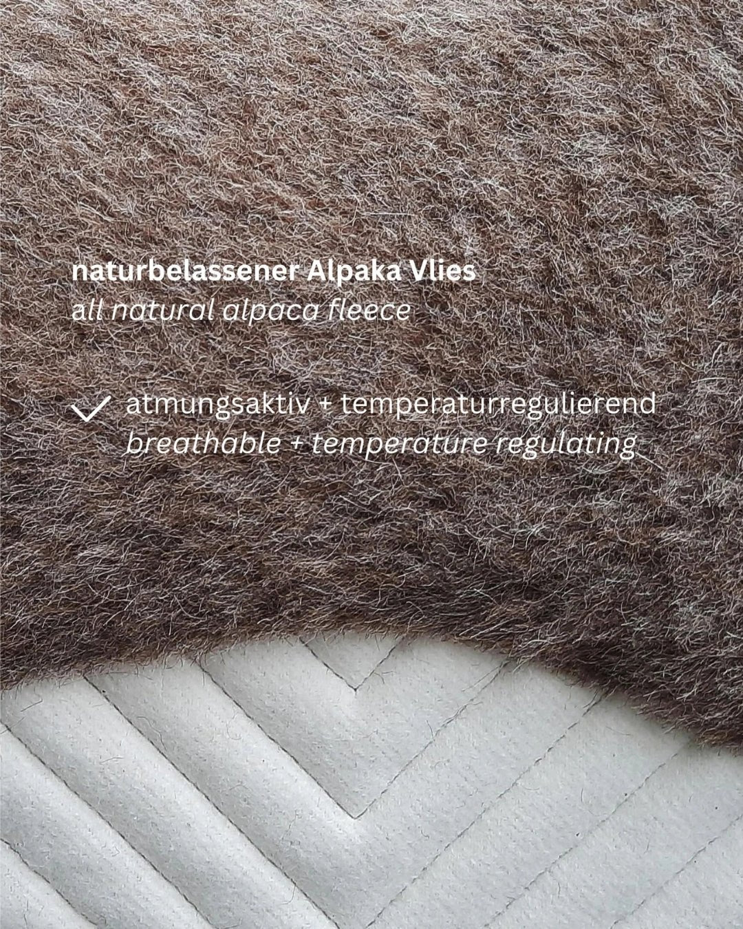 Alpaka Schabracke L'Evoine