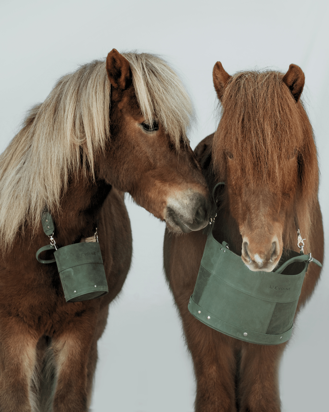 Putztasche Le Baquet - L'Evoine