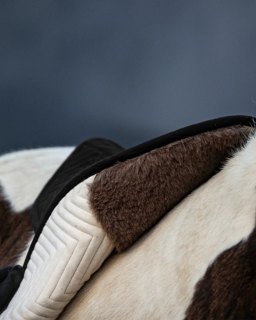 isländer satteldecke