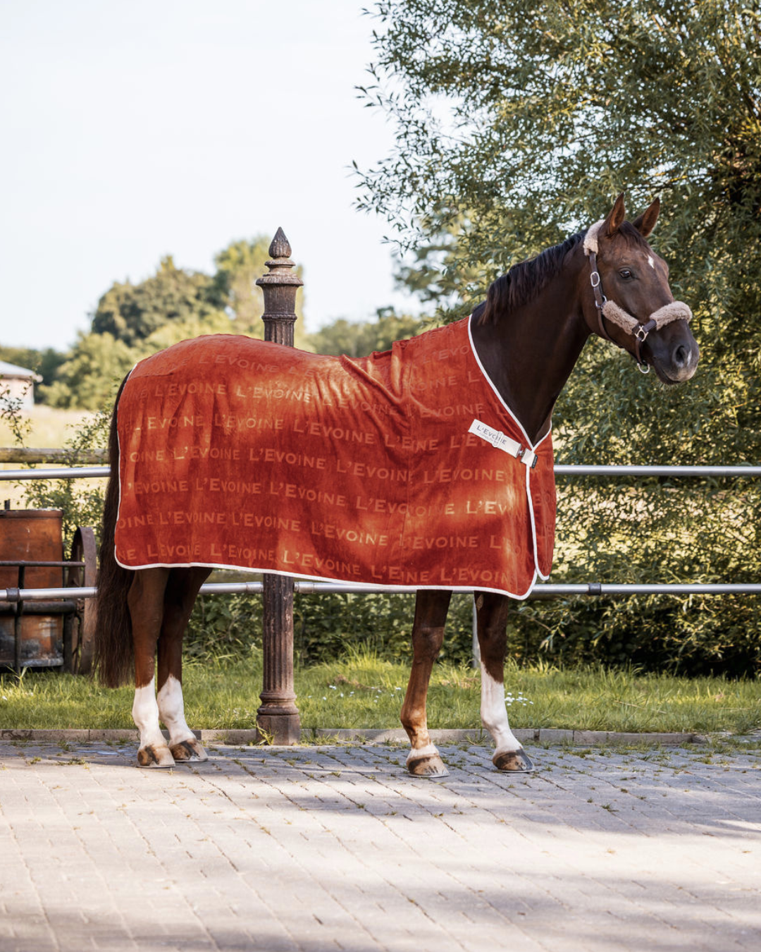Abschwitzdecke Baumwolle burnt red