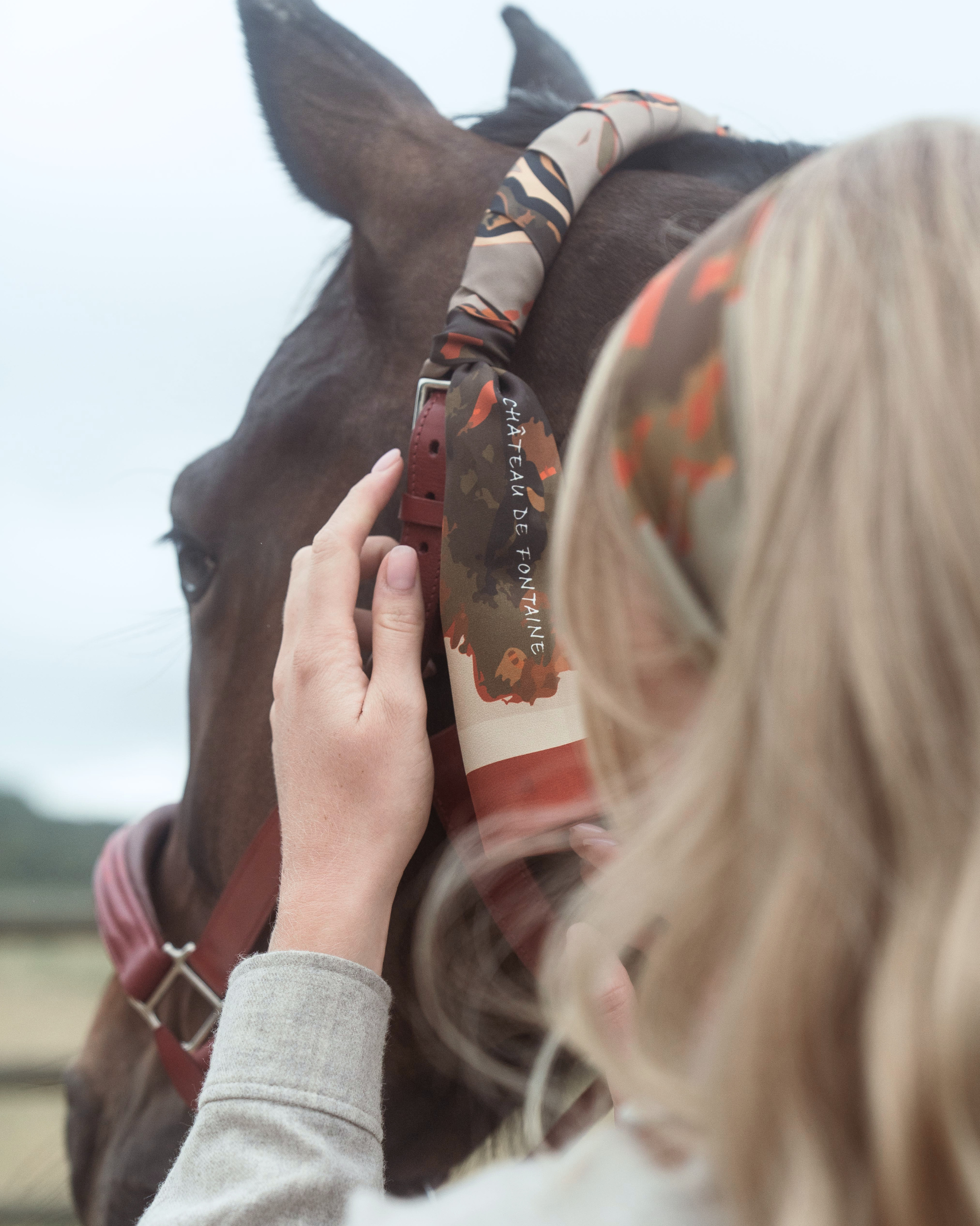 Maxi Twilly Horses At Pasture
