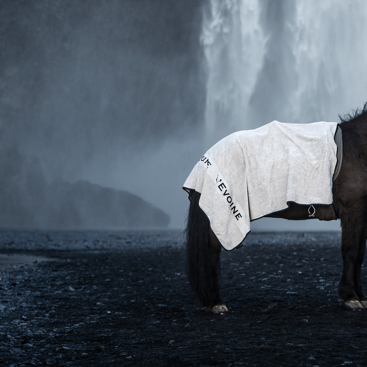 Abschwitzdecke Isländer - L'Evoine