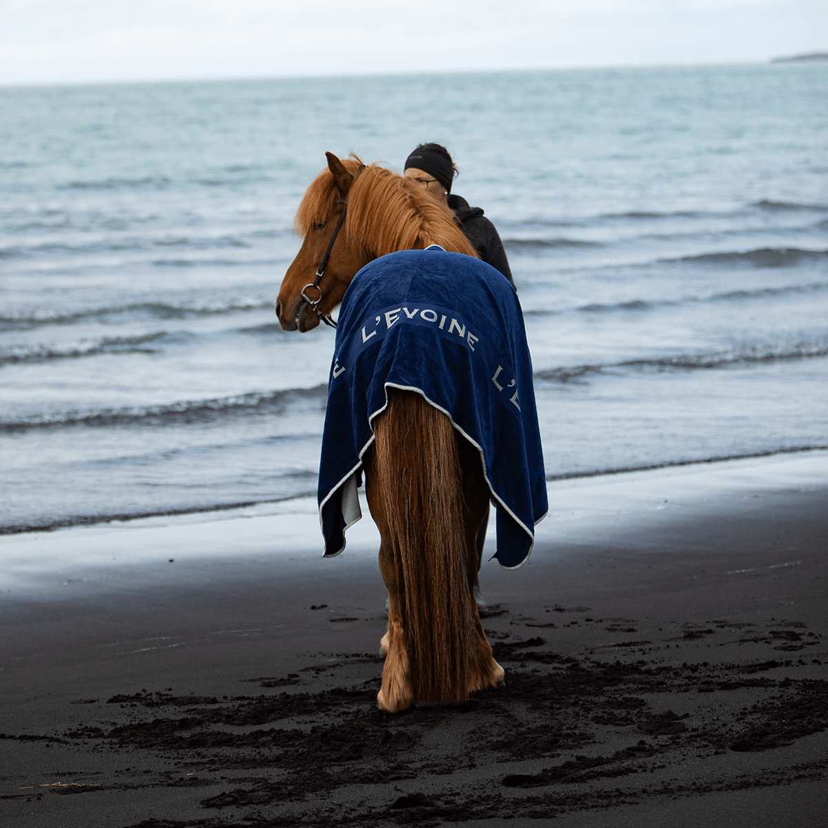 Abschwitzdecke Isländer - L'Evoine