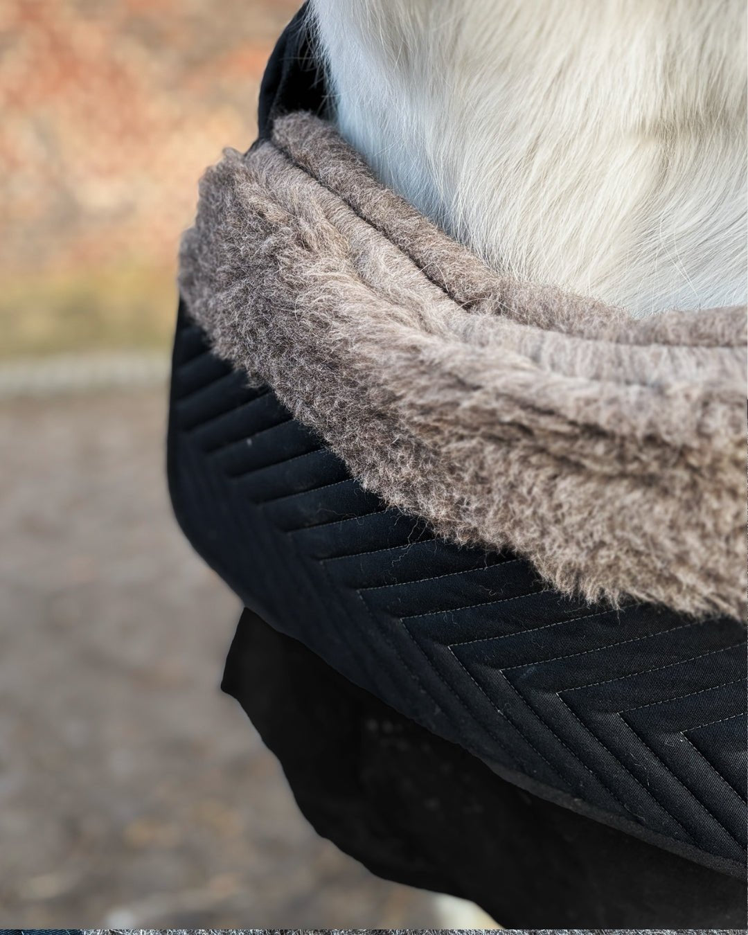 Brustschutz Alpaka Vlies - L'Evoine