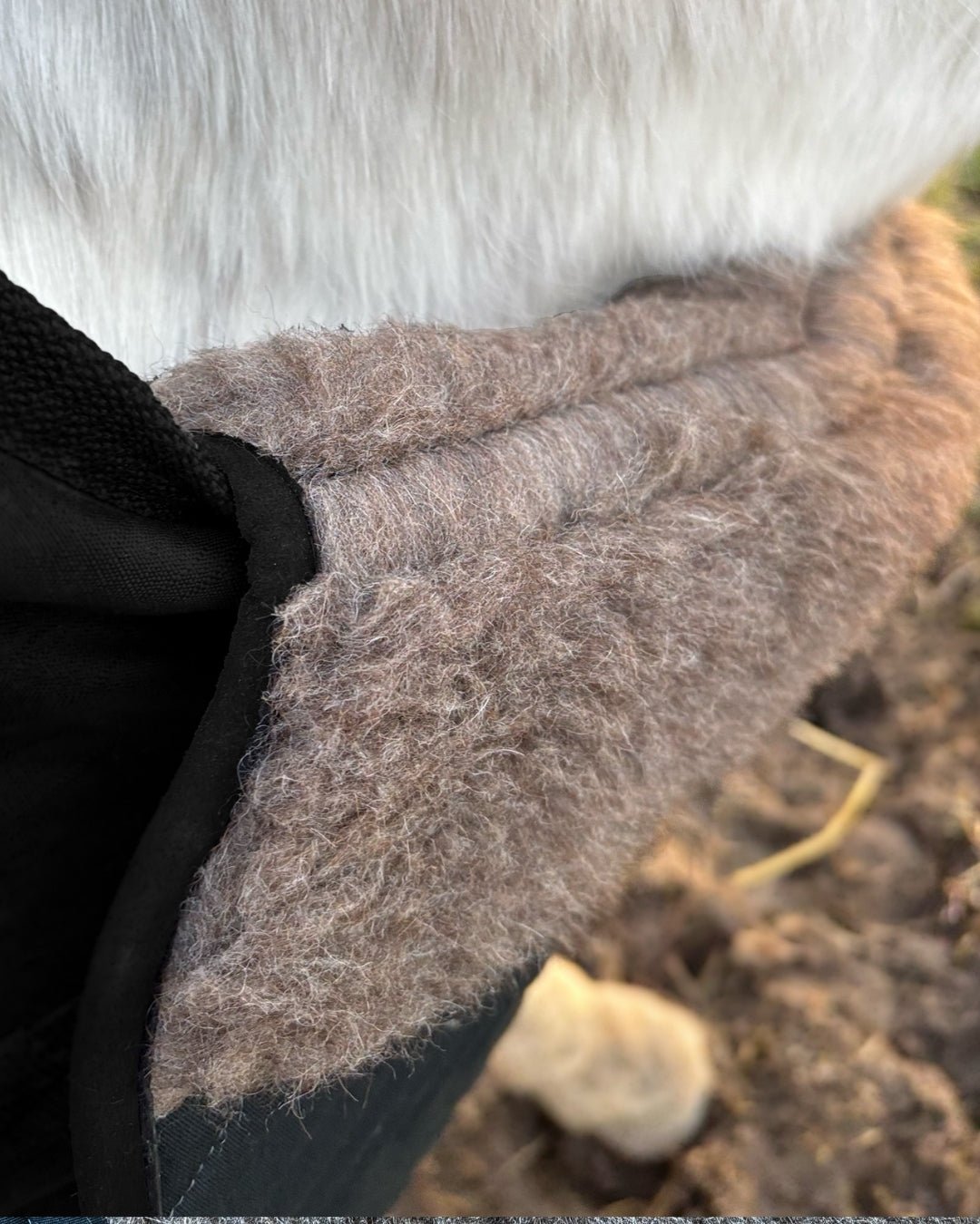 Brustschutz Alpaka Vlies - L'Evoine