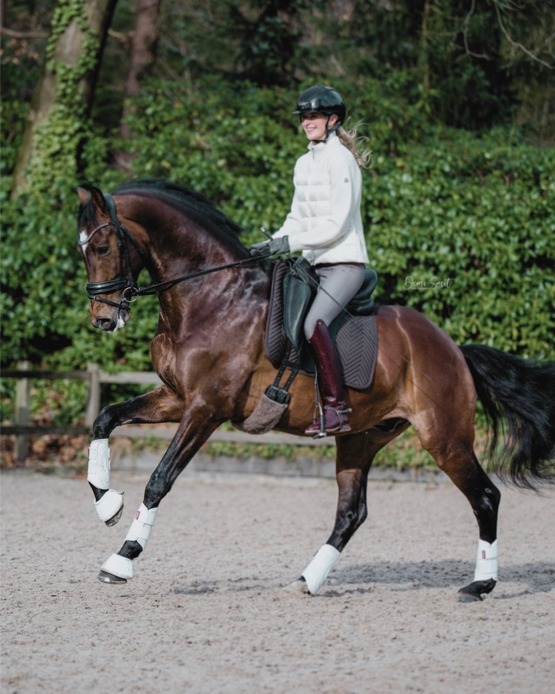 Alpaka Schabracke L'Evoine Espresso Dressur