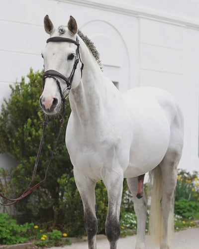 L'Evoine Abschwitzdecke Baumwolle midnight