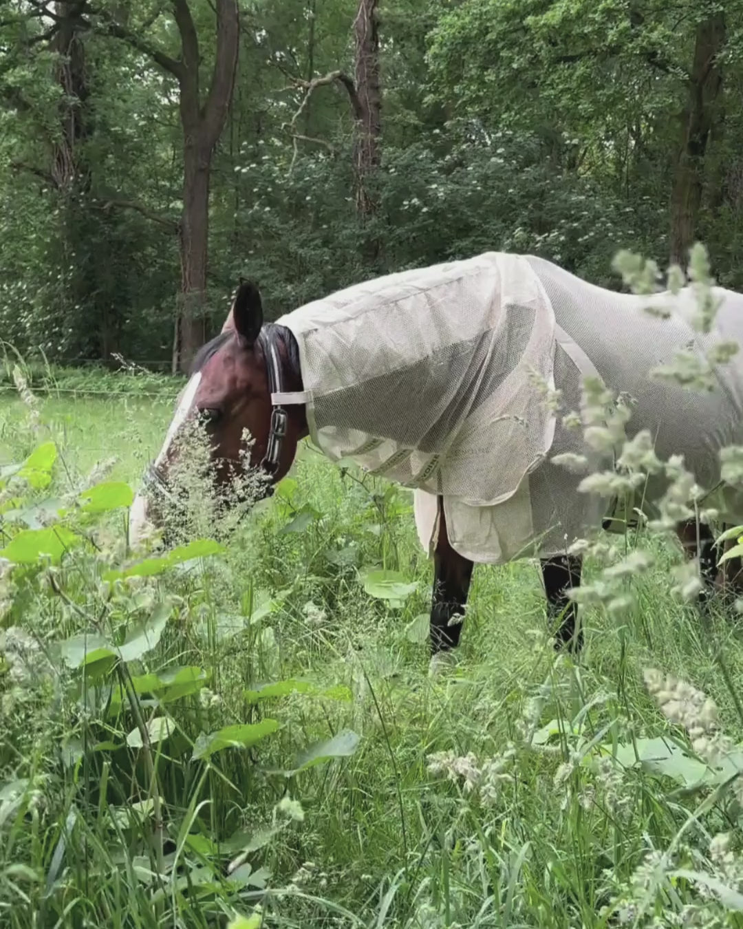 Fliegendecke für Pferde