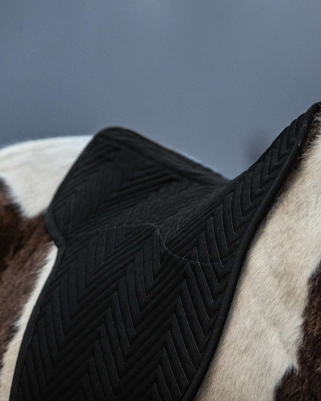 isländer satteldecke schwarz