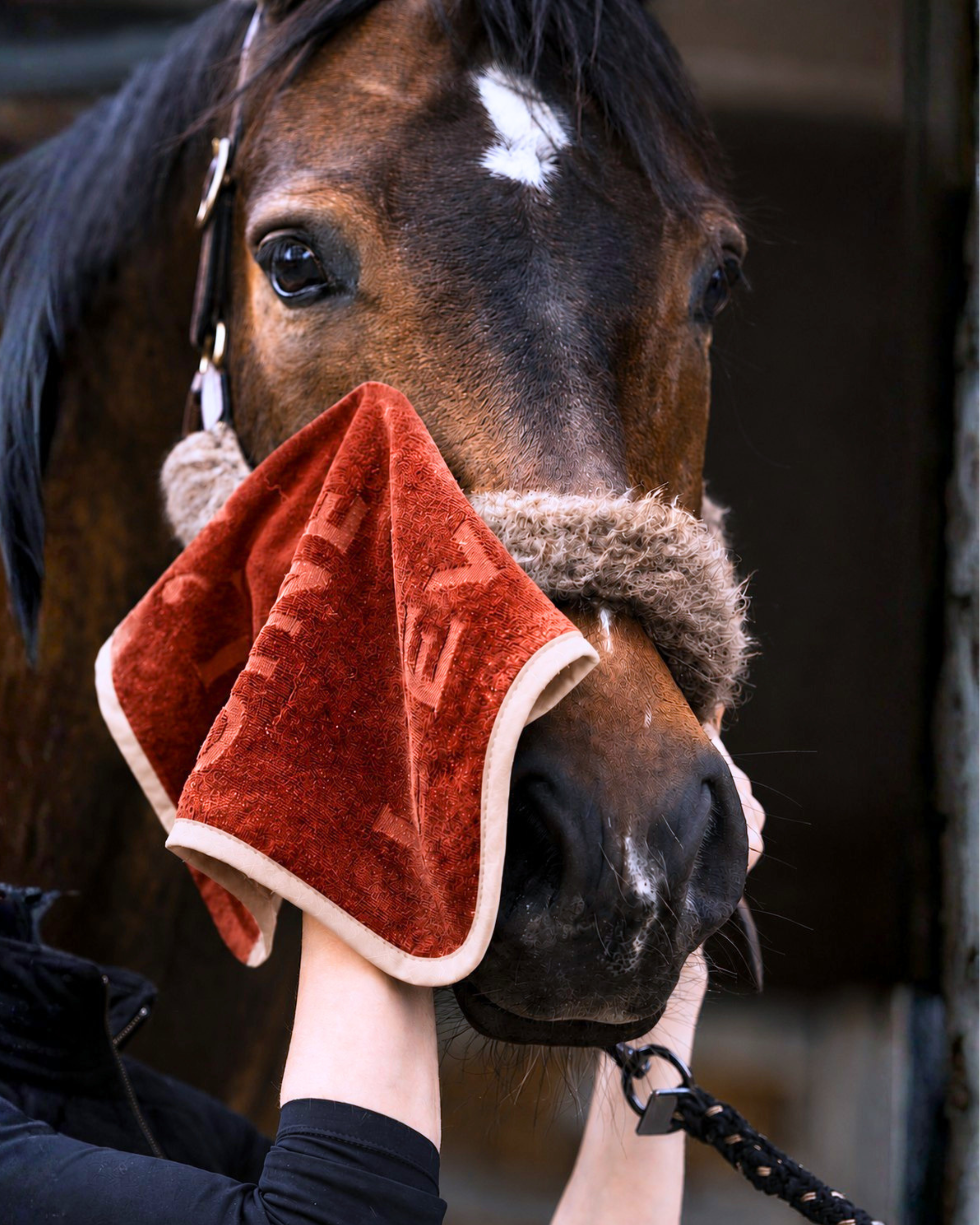 Terry Blanket Decke burnt red